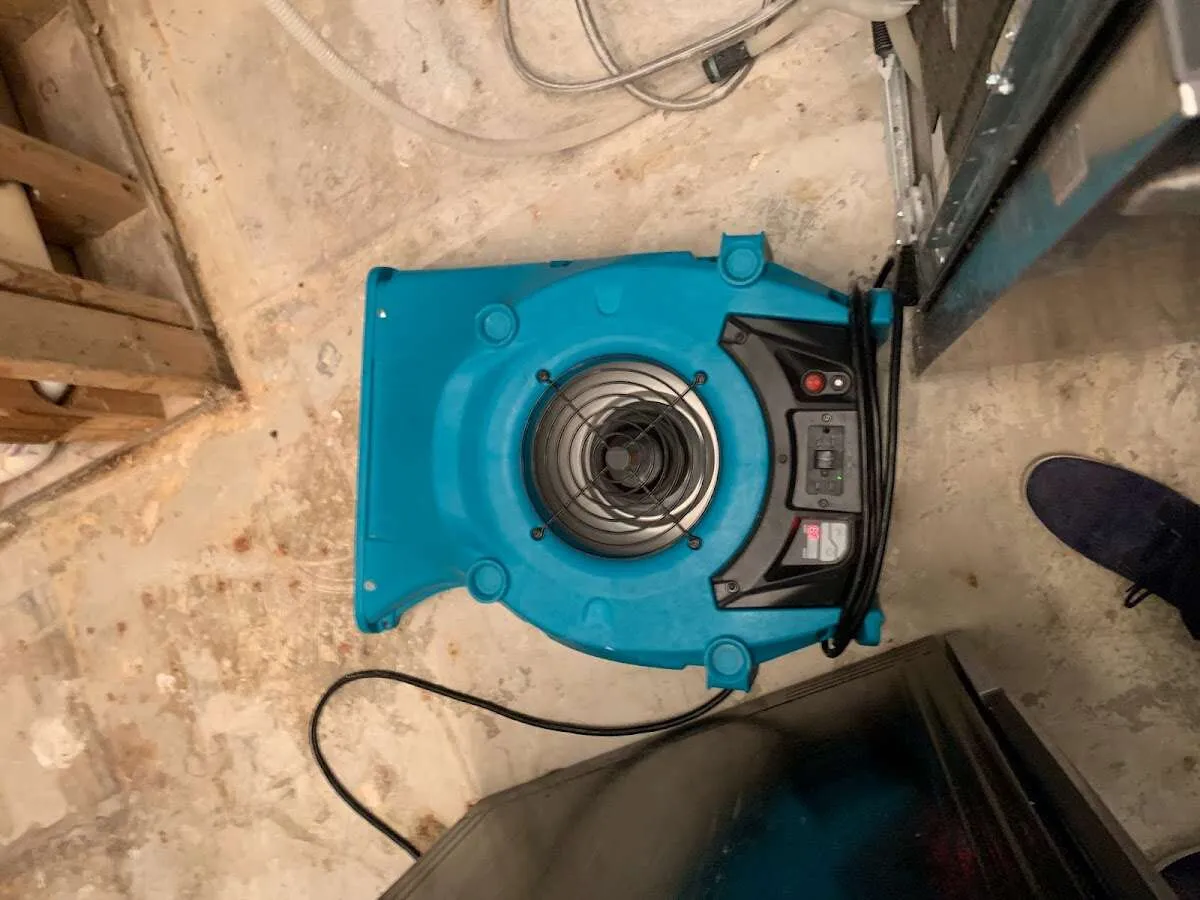 Air mover drying equipment for Mold Remediation & Removal in Stanwood